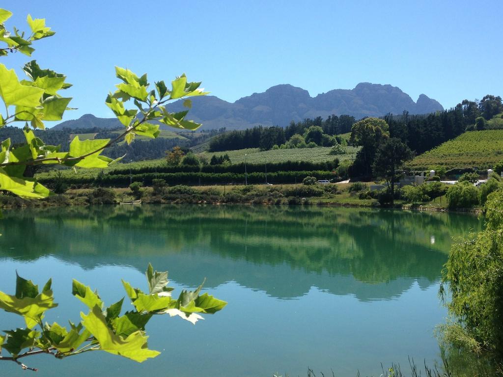 Fynbos Feniks Apartment Stellenbosch Eksteriør bilde